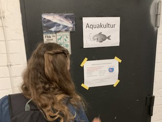 Hinweis auf den Fütterungsversuch mit Regenbogenforellen in Aquakultur unter Leitung von Prof. Jens Tetens
