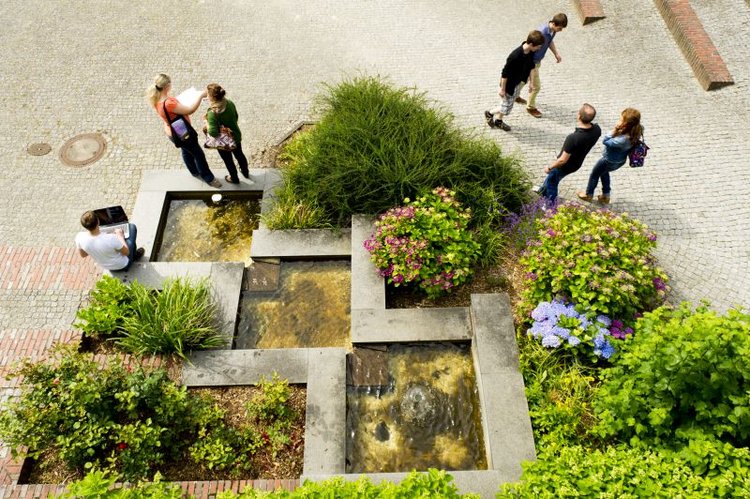 Forschungsgarten mit viel Wasser