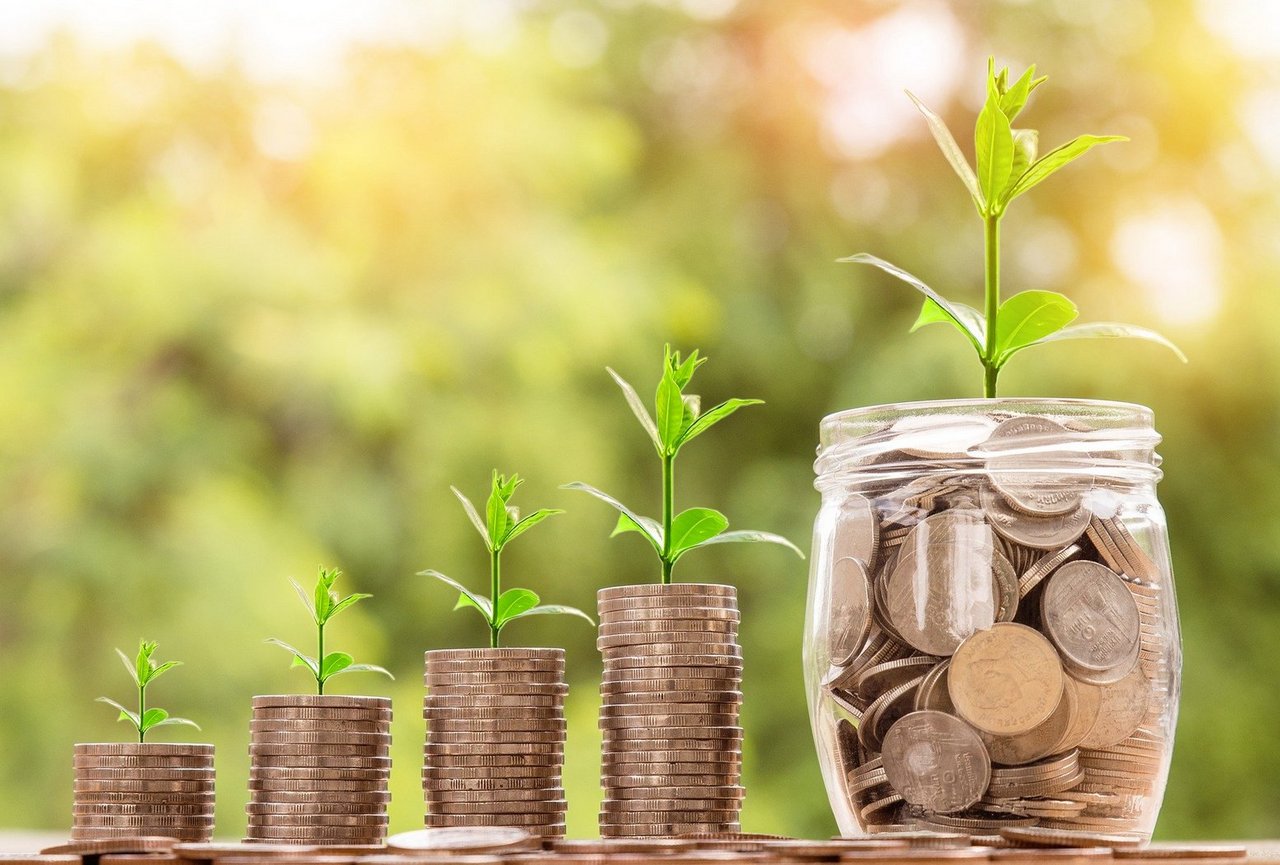 ascending stacks of coins with a small tree sprout on top