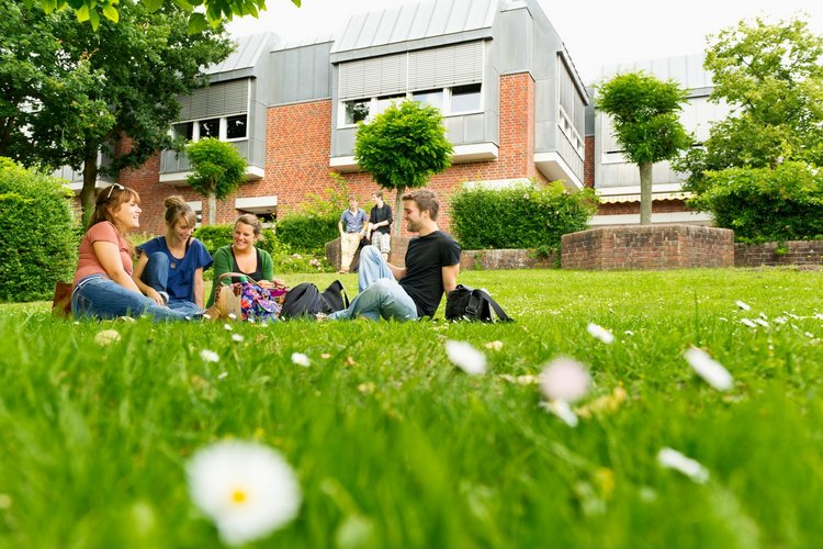 Four students are sitting and talking on a bright green lawn of the University of Vechta. 