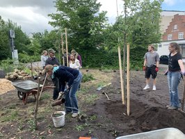 Freiwillige haben einen Baum gepflanzt.