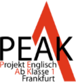 Logo PEAK1