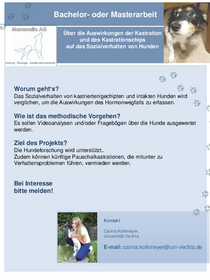 Werbeblatt: Über die Auswirkungen der Kastration und des Kastrationschips auf das Sozialverhalten von Hunden