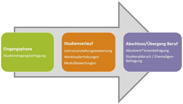 Befragungen des Qualitätsmanagements