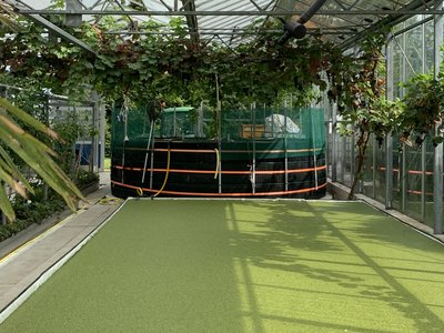 Wasserlinsenzucht mit angeschlossener Aquaponik mit Karpfen bei der Firma NOVAgreen in Langförden Wasserlinsenzucht mit angeschlossener Aquaponik mit Karpfen bei der Firma NOVAgreen in Langförden