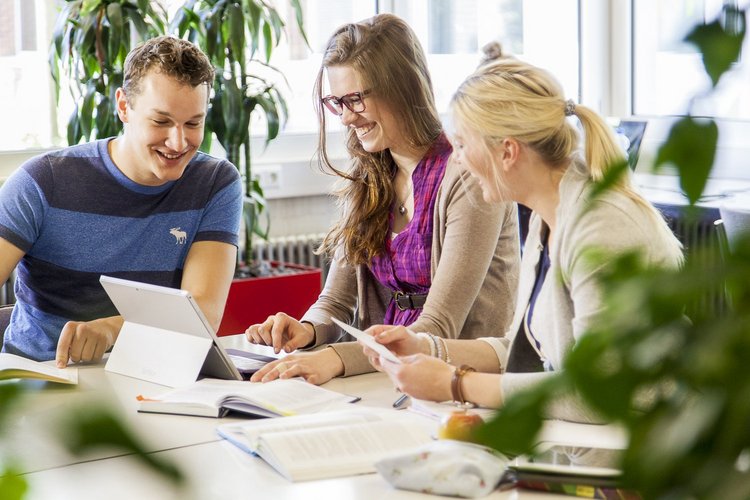 Studierende sitzen in der Bibliothek