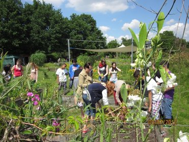 Eine Schulklasse verbringt eine Unterrichtsstunde im Forschungsgarten