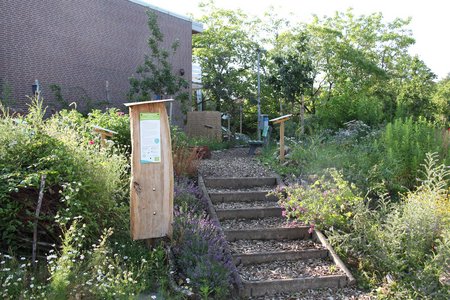Treppenaufgang zum Garten und Infotafel.