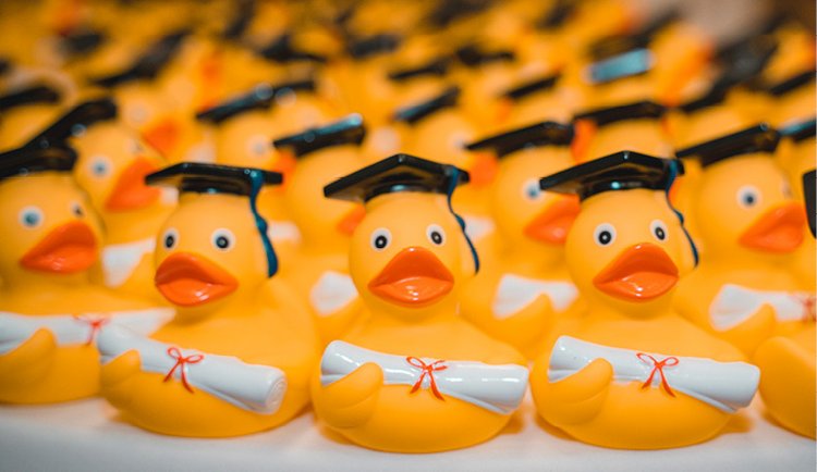 Herzliche Einladung zur Abschlussfeier des Fachs Gerontologie