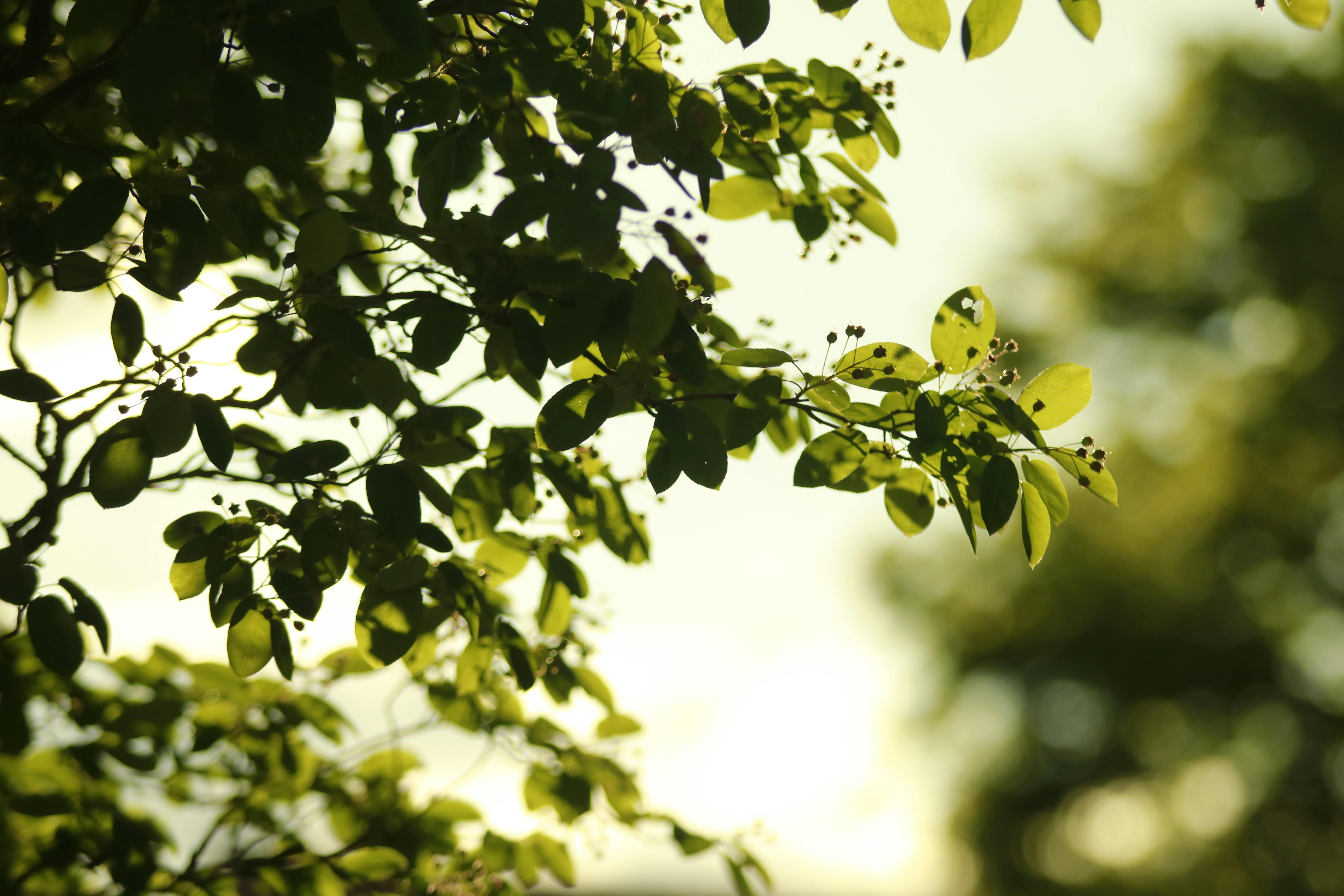 Writing Retreat - Schreibwochenende mit Workshops und Coaching