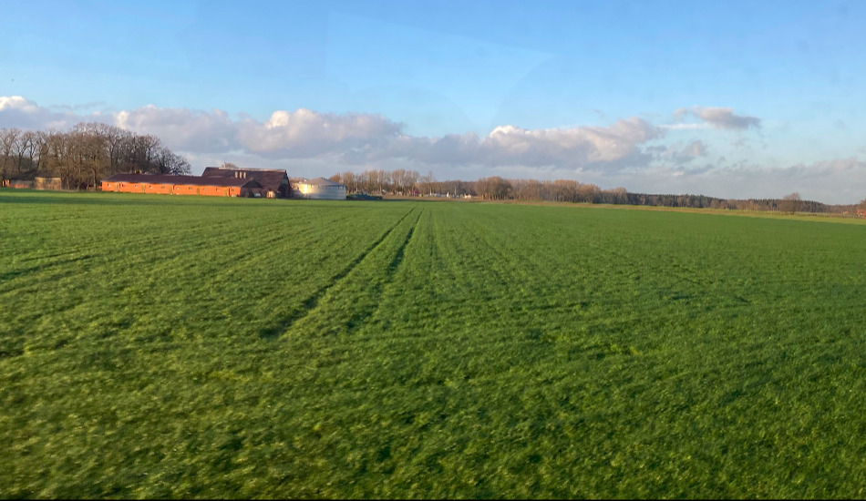 Feld- Landwirtschaft in der Nähe von Vechta