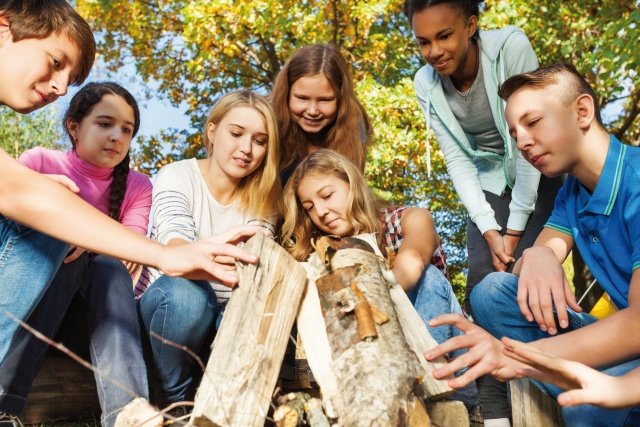 Die Ressource Holz in der Bioökonomie