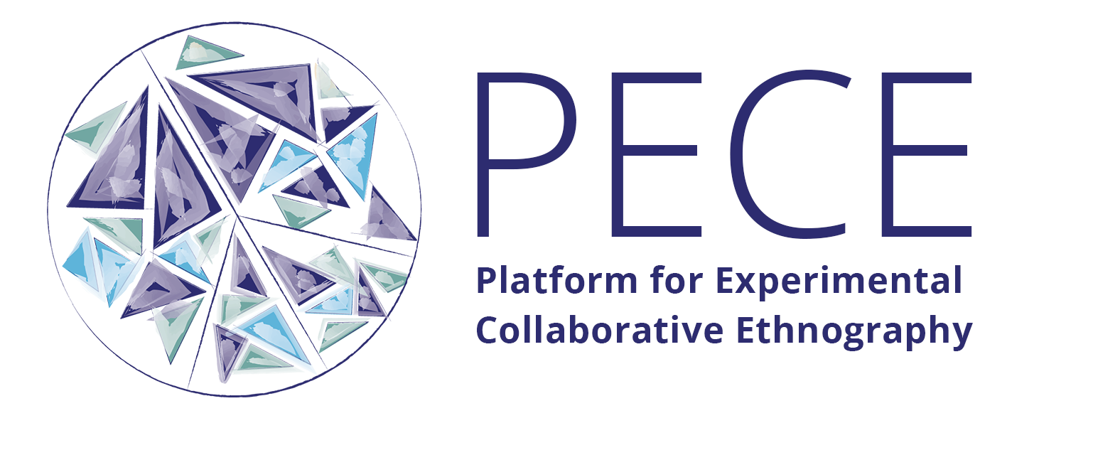 Einladung zum Workshop zur PECE-Plattform am 12.11.
