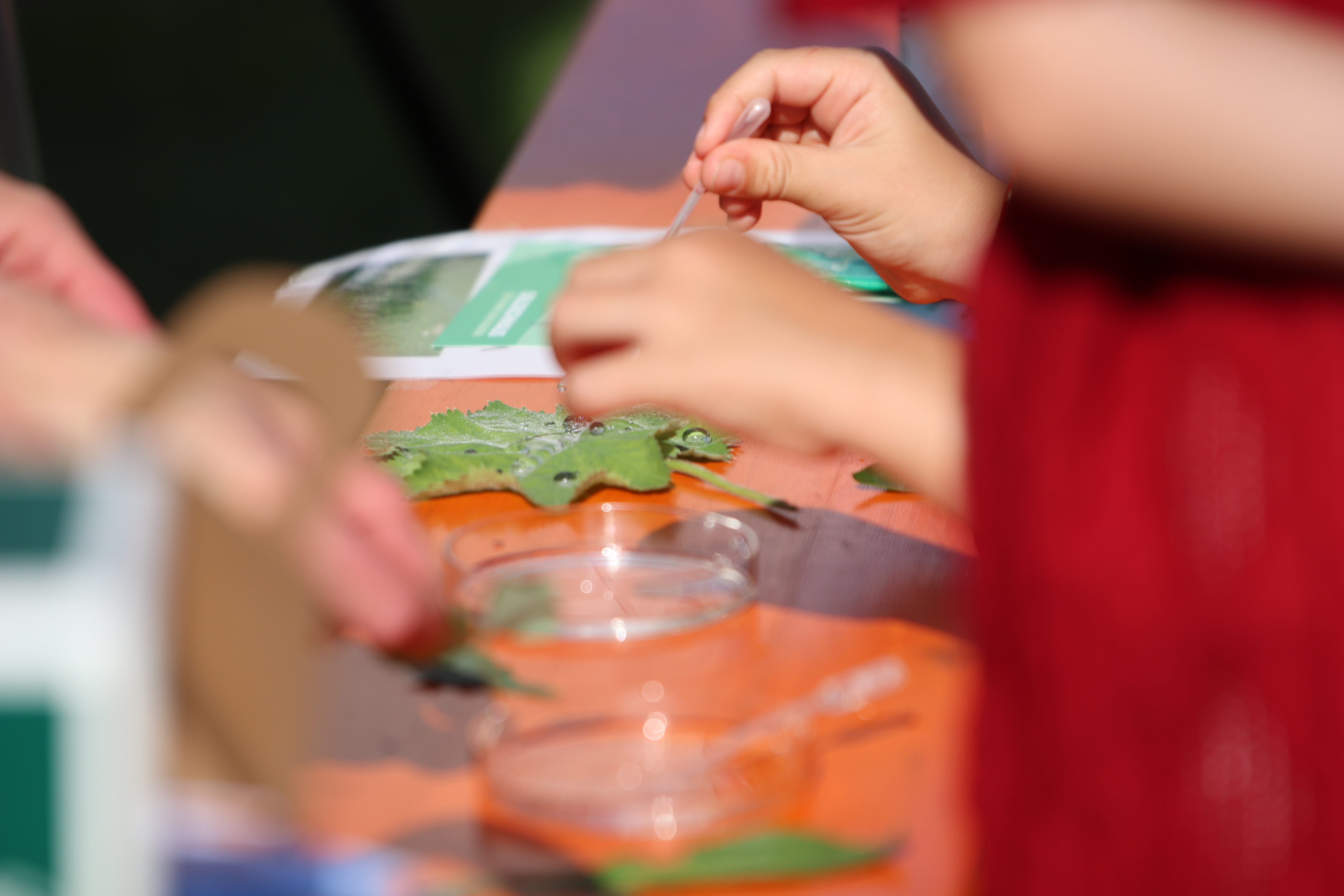 Erfolgreicher Science Day "Faszination Biologie" in Cloppenburg
