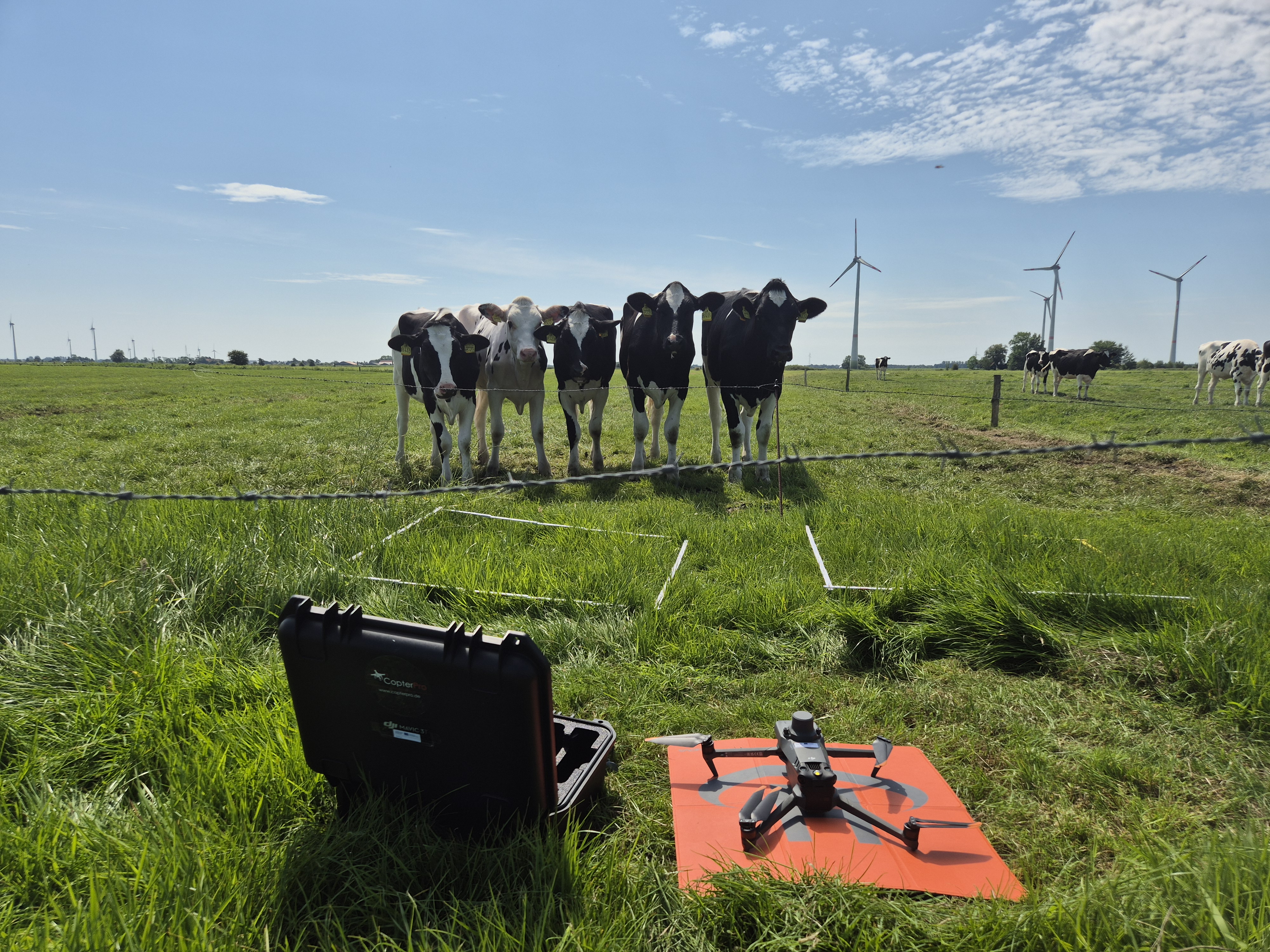 Intensivgrünland zukunftsfähig aufstellen – Ihre Erfahrungen zählen!