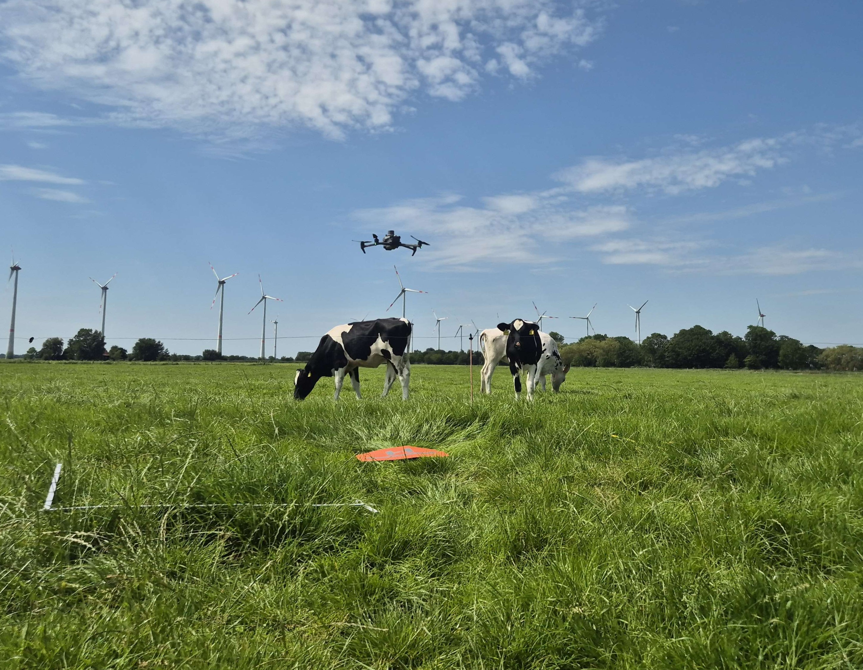 Intensivgrünland zukunftsfähig aufstellen – Ihre Erfahrungen zählen!