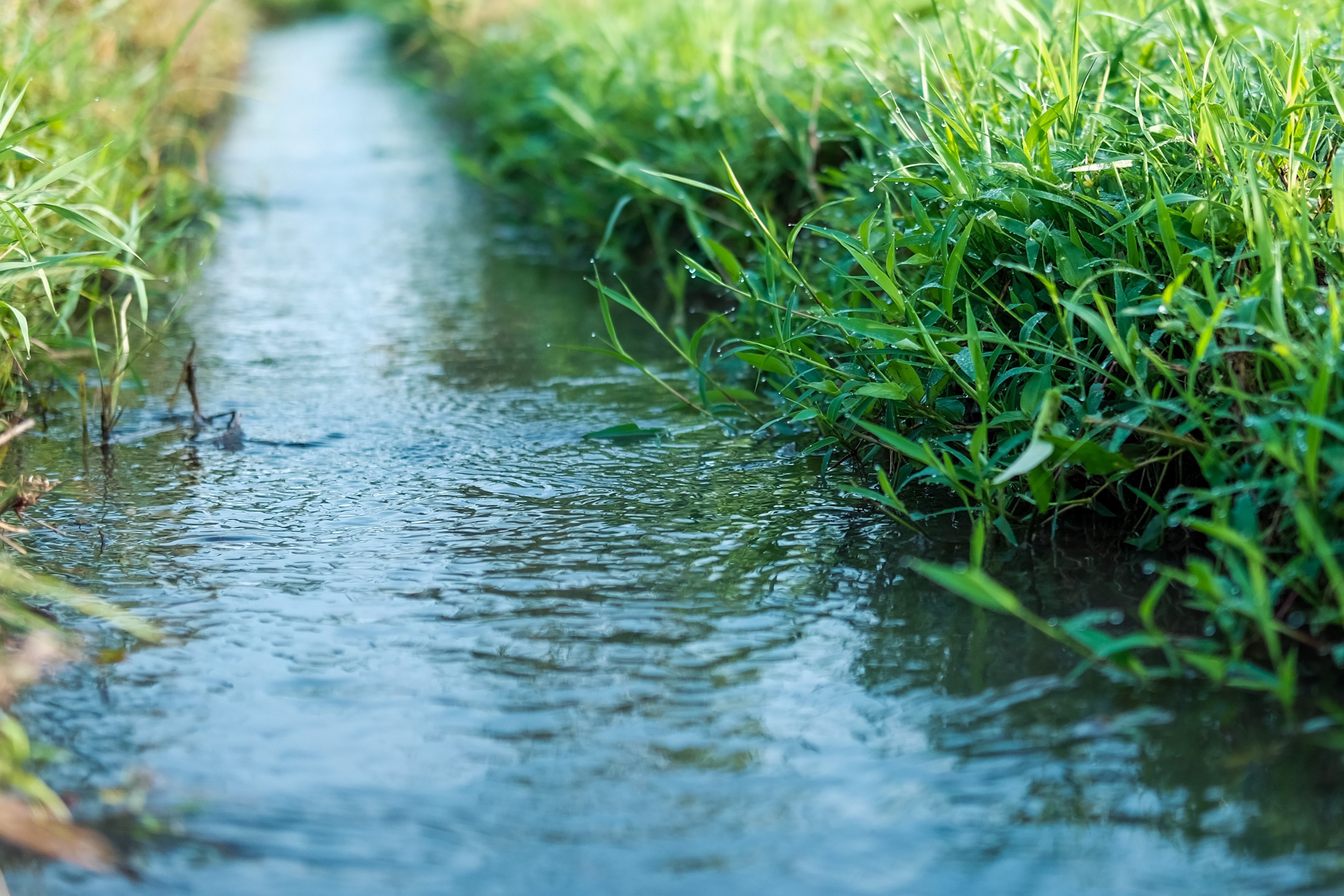 Vorstellung des Masterplans Wasser Niedersachsen