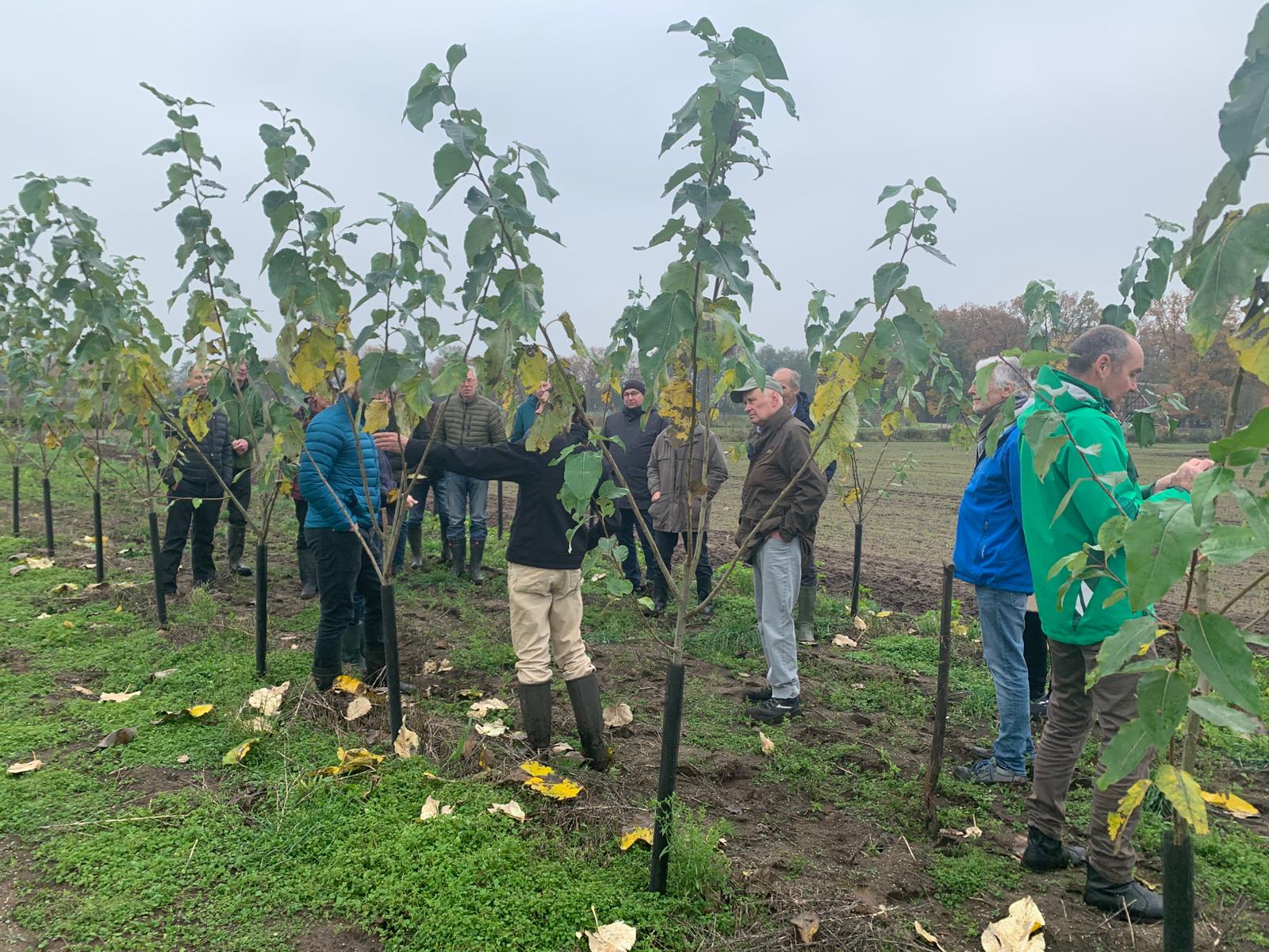 Praxis-Einblicke in Agroforstsysteme – Schockemöhle lud zur Exkursion ein