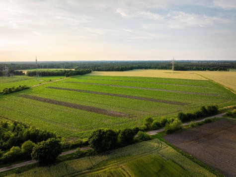 83.000 Agrar-Bäume gepflanzt • Bedeutendster Beitrag zur Skalierung von Agroforst-Landwirtschaft