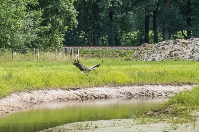 124 Vorschläge zum Klimapark münden in einem Basis-Konzept