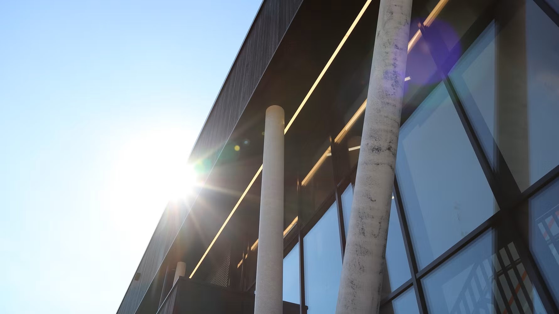 Workshop für Kinder und Bürgerwissenschaften | Universität Vechta beteiligt sich an Umweltwoche im Landkreis Vechta