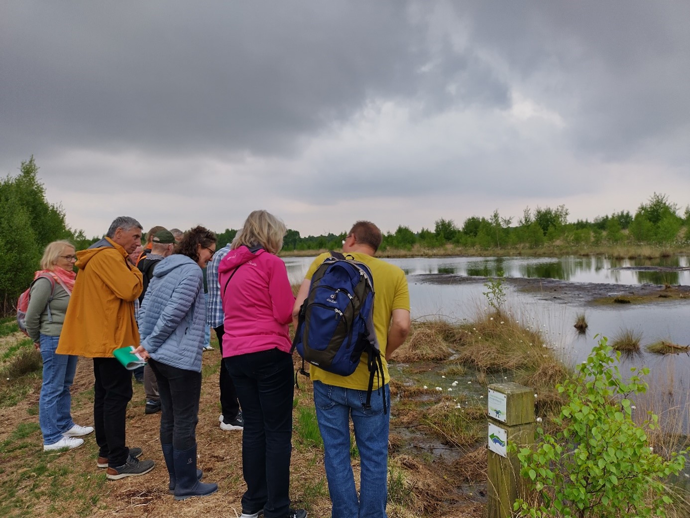 Moore erleben, Forschung verstehen: StadtRadeln-Tour zum Moorlehrpfad Molberger Dose