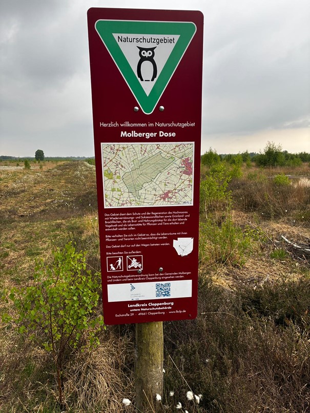 Moore erleben, Forschung verstehen: StadtRadeln-Tour zum Moorlehrpfad Molberger Dose