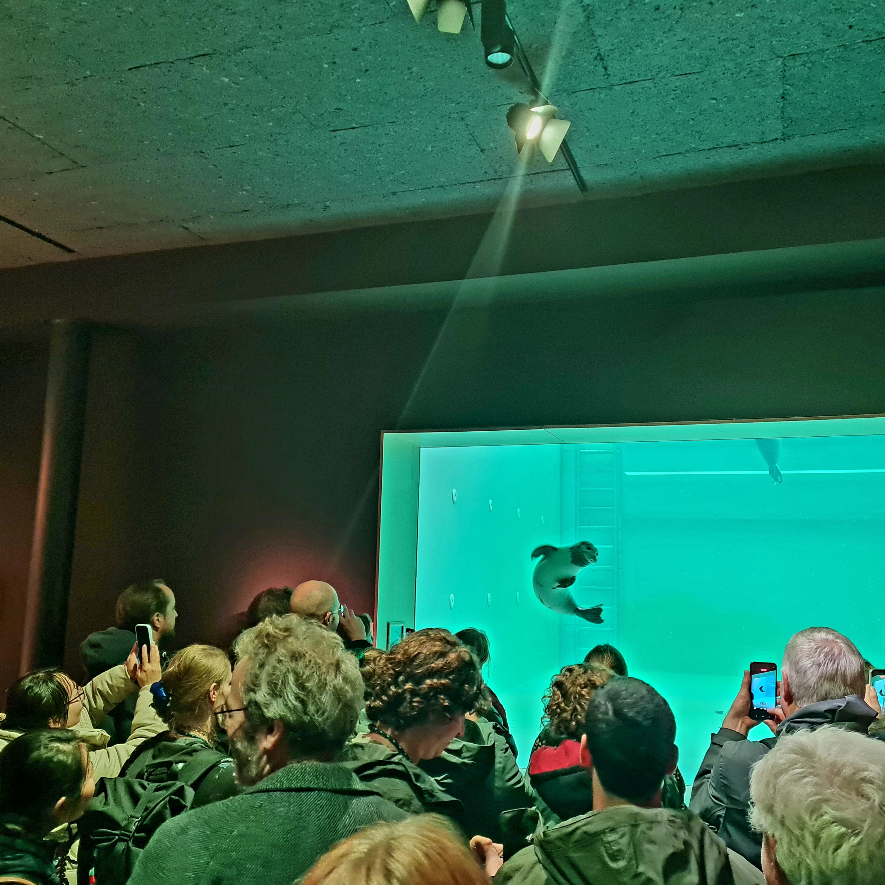 Mitglieder des VISTRA auf dem International Scientific Wadden Sea Symposium (ISWSS) in Groningen