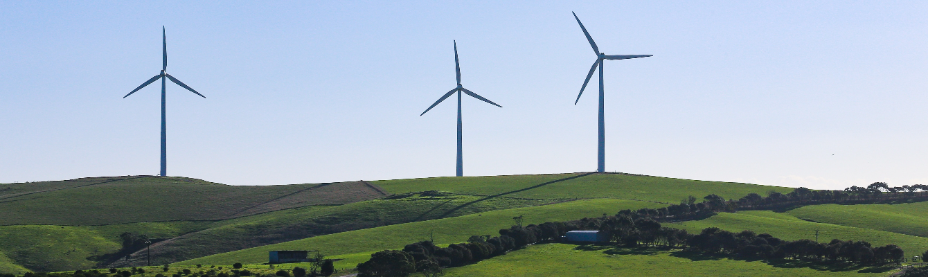 Foto eines Windparks