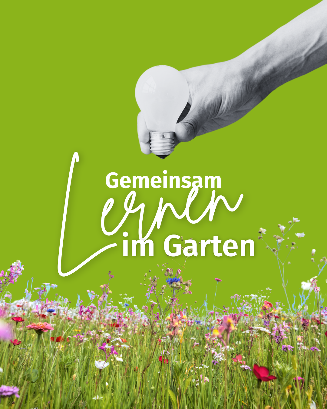 Lernzeit im Garten: Gemeinsam lernen in der Klausurenphase